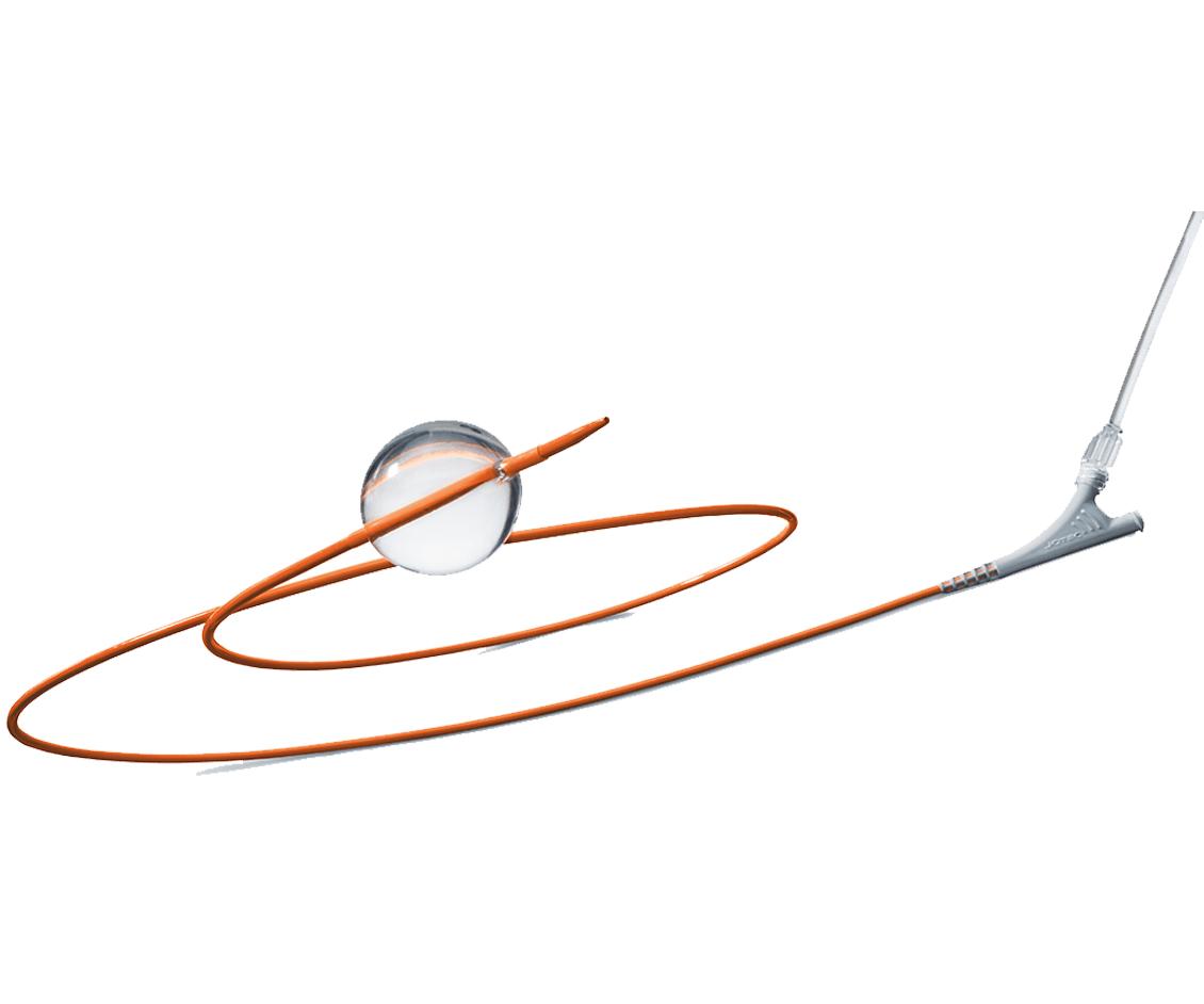 E-xpand™ Stent Graft Balloon Catheter