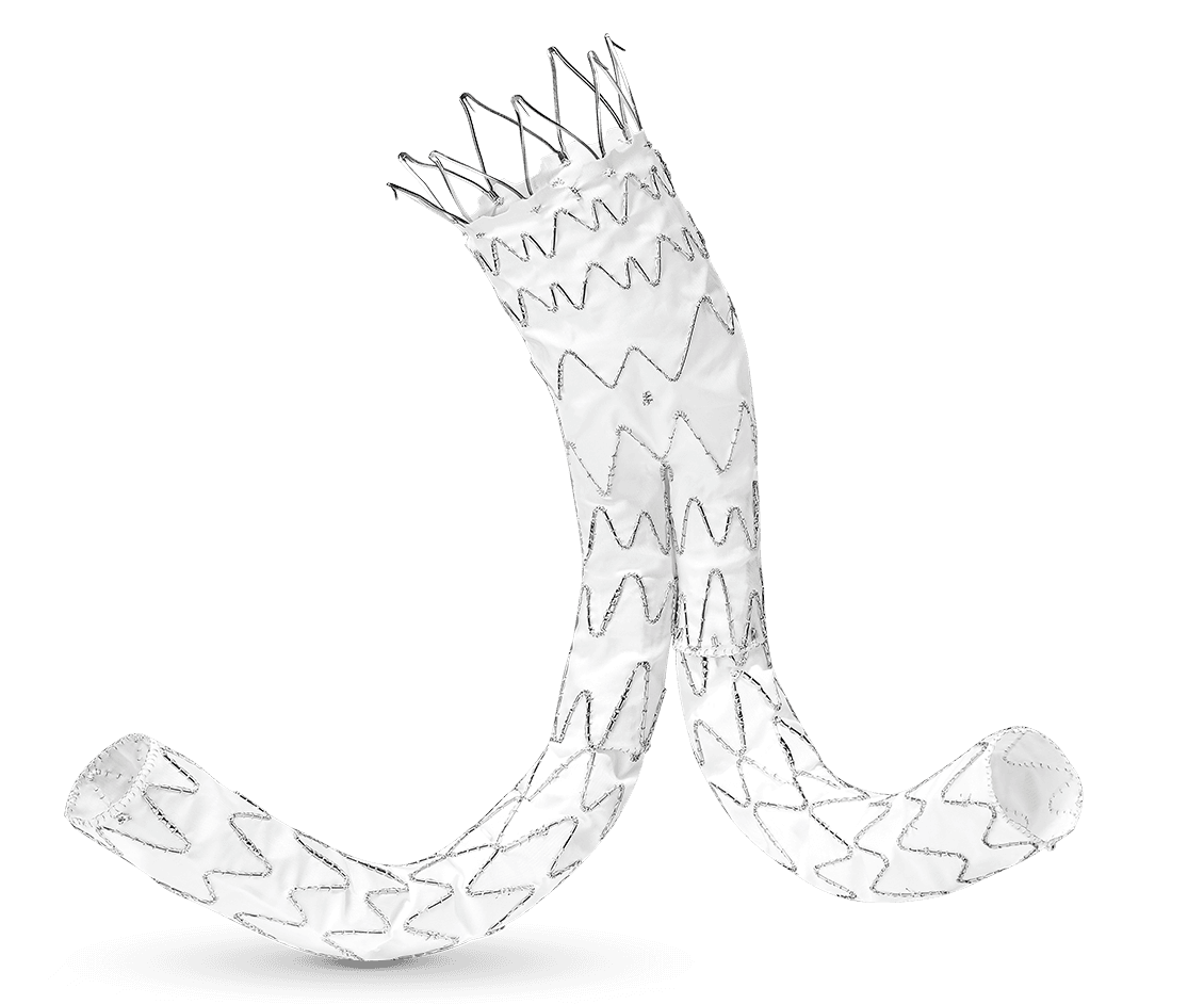 E-tegra™ Abdominal Stent Graft System
