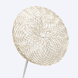 Ceraflex Occluder