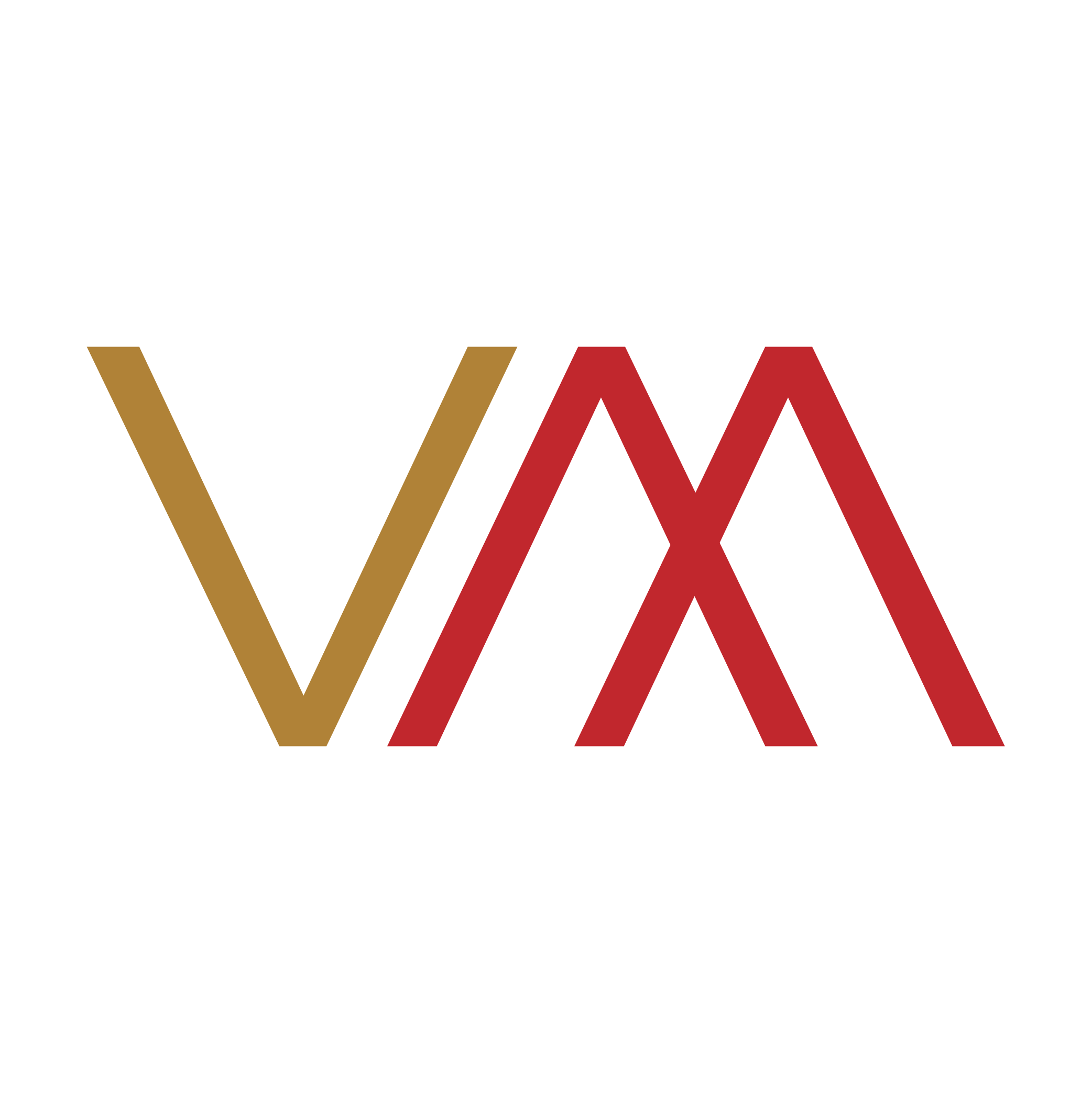 Vamet Medikal logosu